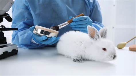 does dior test on animals 2022|is dior animal cruelty free.